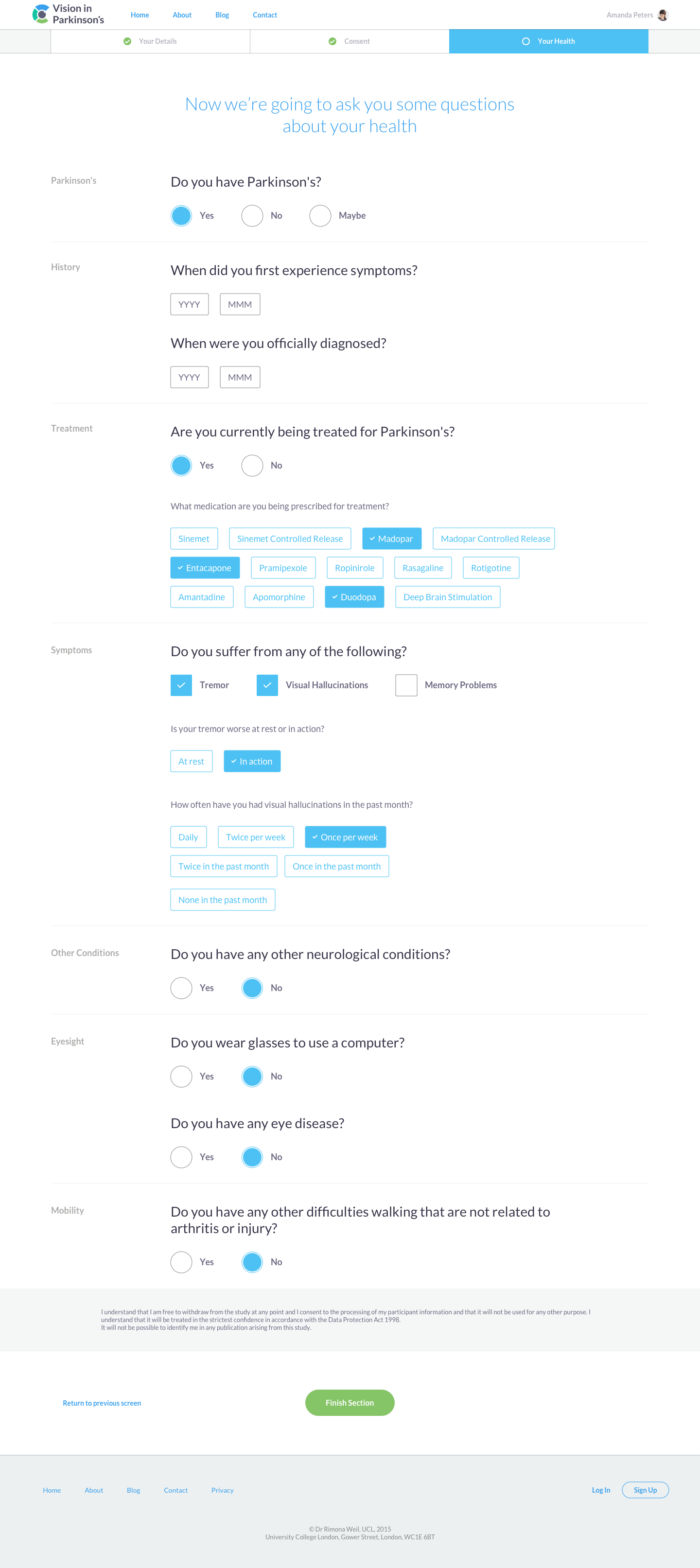 Screenshot of the questionnaire interface