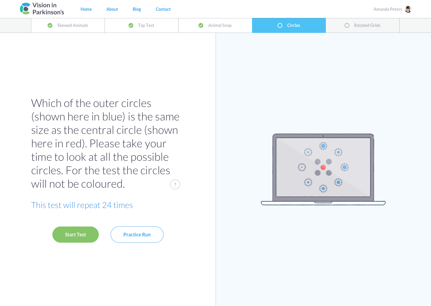 Screenshot of the Ebbinghaus circles test